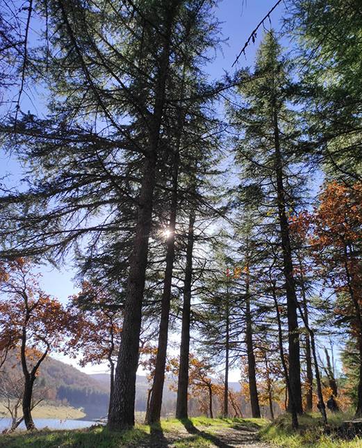 Lago di Govossai